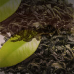 Té Verde Floral